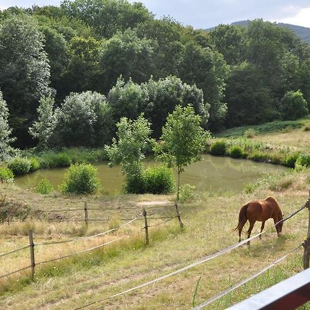 La Bergerie Bed & Breakfast Pollionnay Luaran gambar