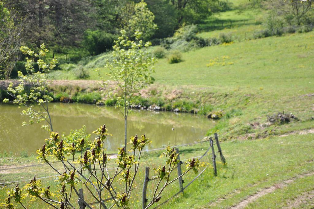 La Bergerie Bed & Breakfast Pollionnay Luaran gambar